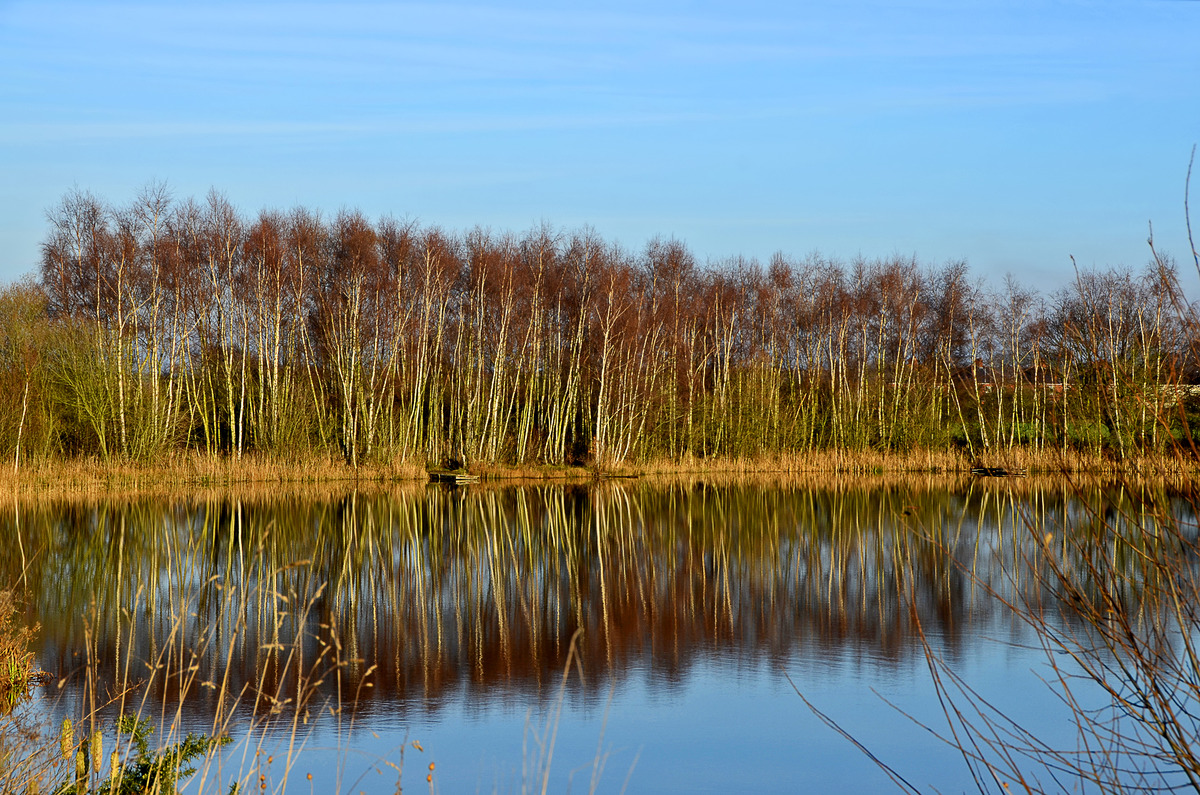 Second - Geoff Hildred